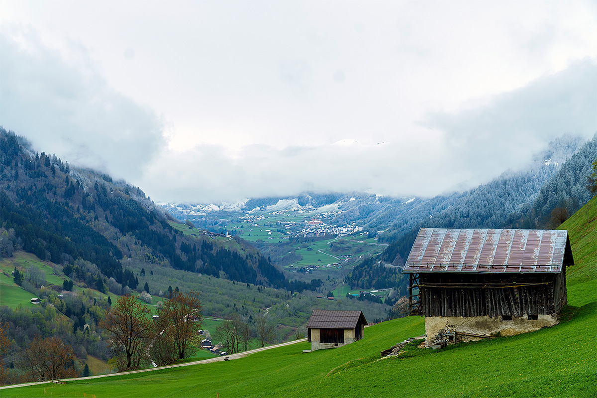 Nature, Landscape, Forest, Mountain, Travel, Switzerland